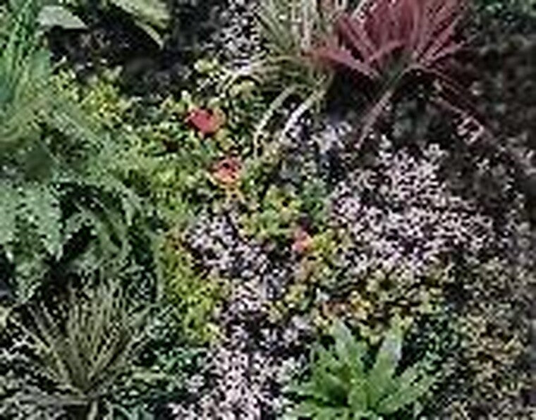 JARDIN VERTICAL 1x1 SILVER GARDEN (USO INTERNO / EXTERNO) L093