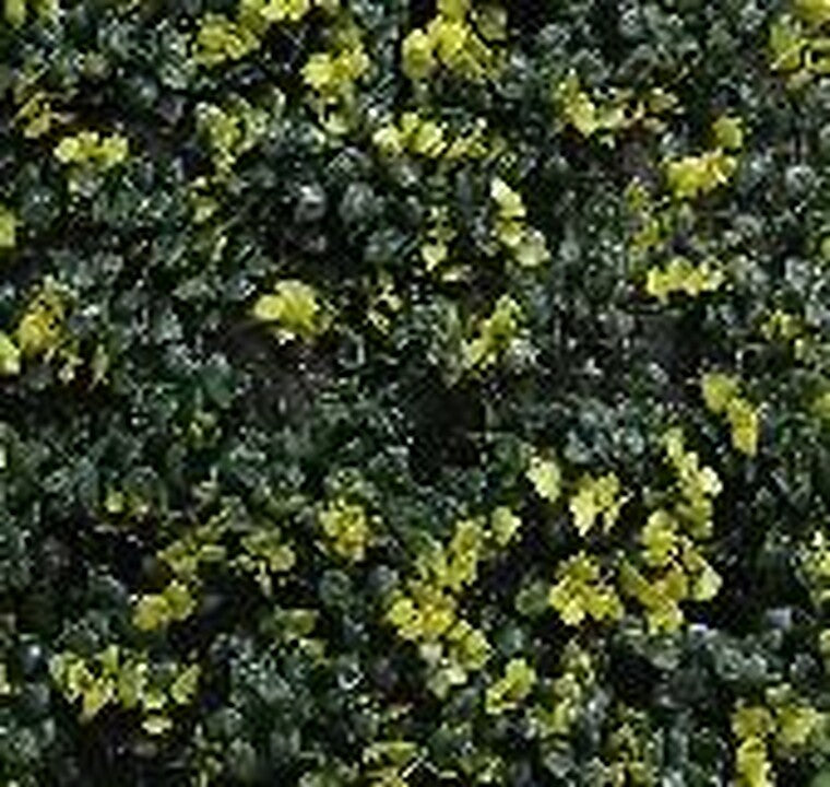 JARDIN VERTICAL 0,5 x 0,5 SUNLIGHT MIX A019