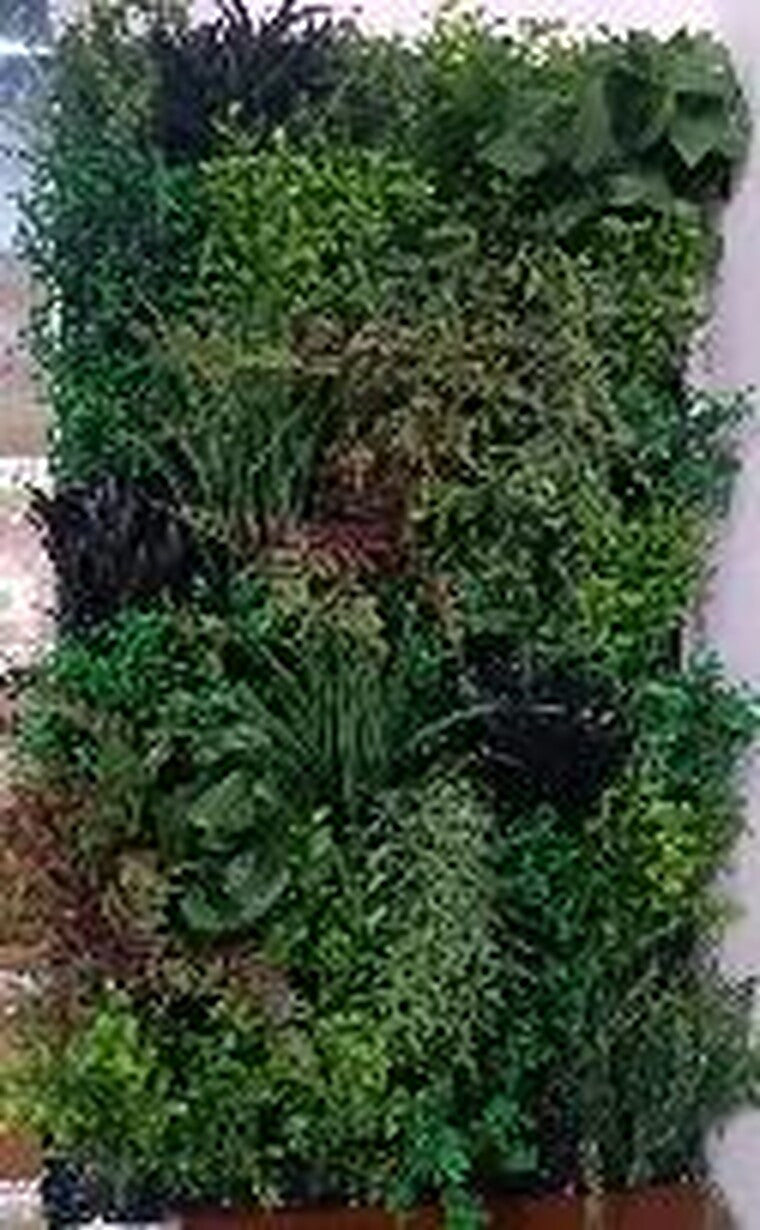 JARDIN VERTICAL DEEP FOREST (USO INTERNO / EXTERNO) HH029-B 1x0,5