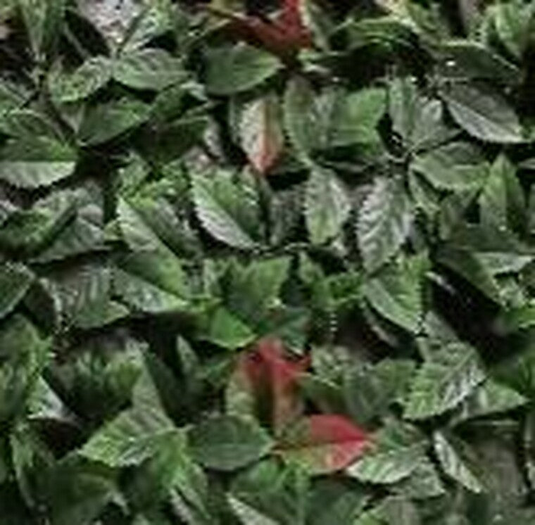 JARDIN VERTICAL 0,5 x 0,5 NATURA RED SOFT A002