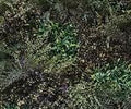 JARDIN VERTICAL 1x1 SELVA MIX (USO INTERNO / EXTERNO) L098
