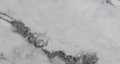 ADH Marmol Gris 30 x 60 Vertical Import | Vertical Store Tecnología